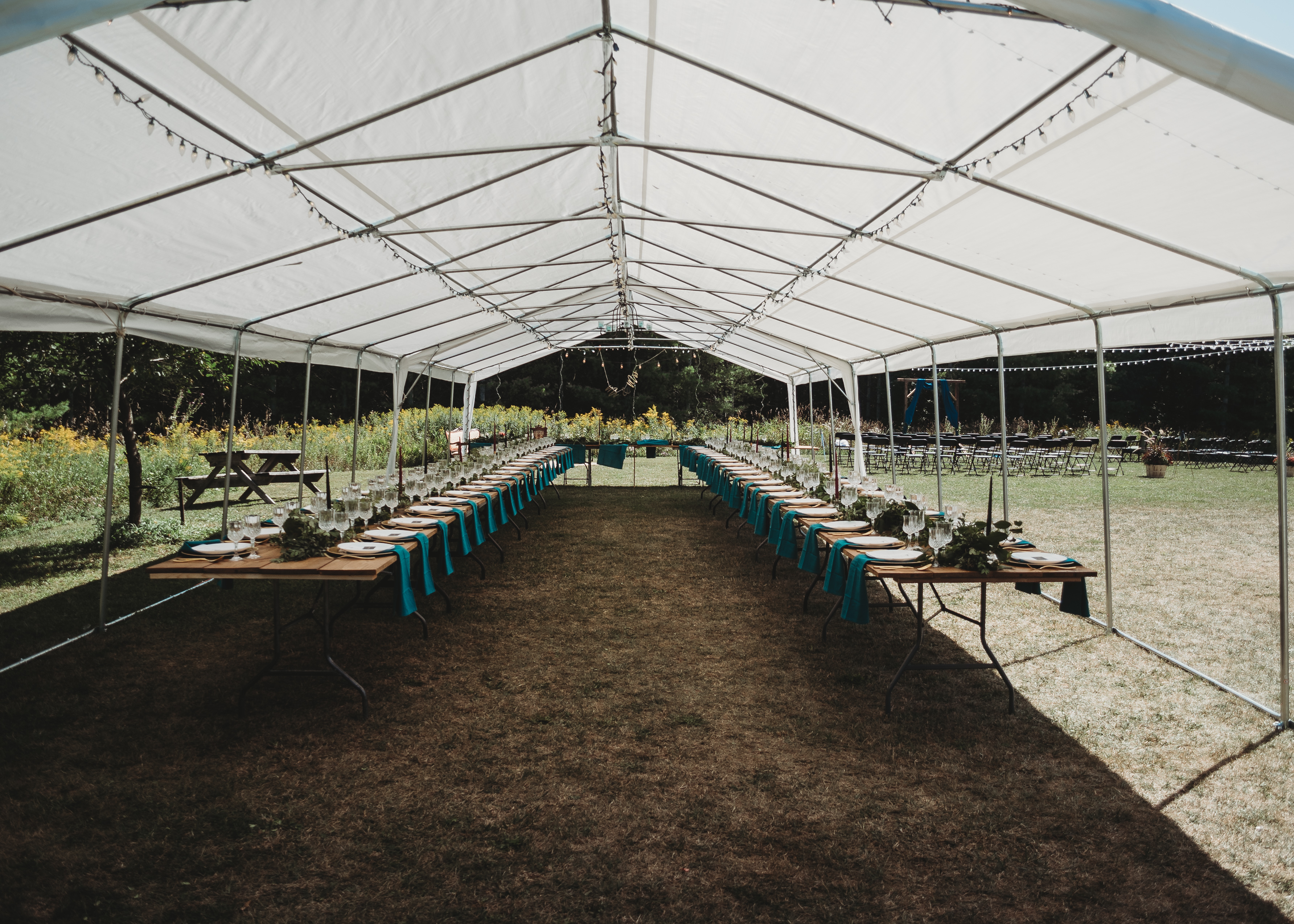 emilyandbradwedding80